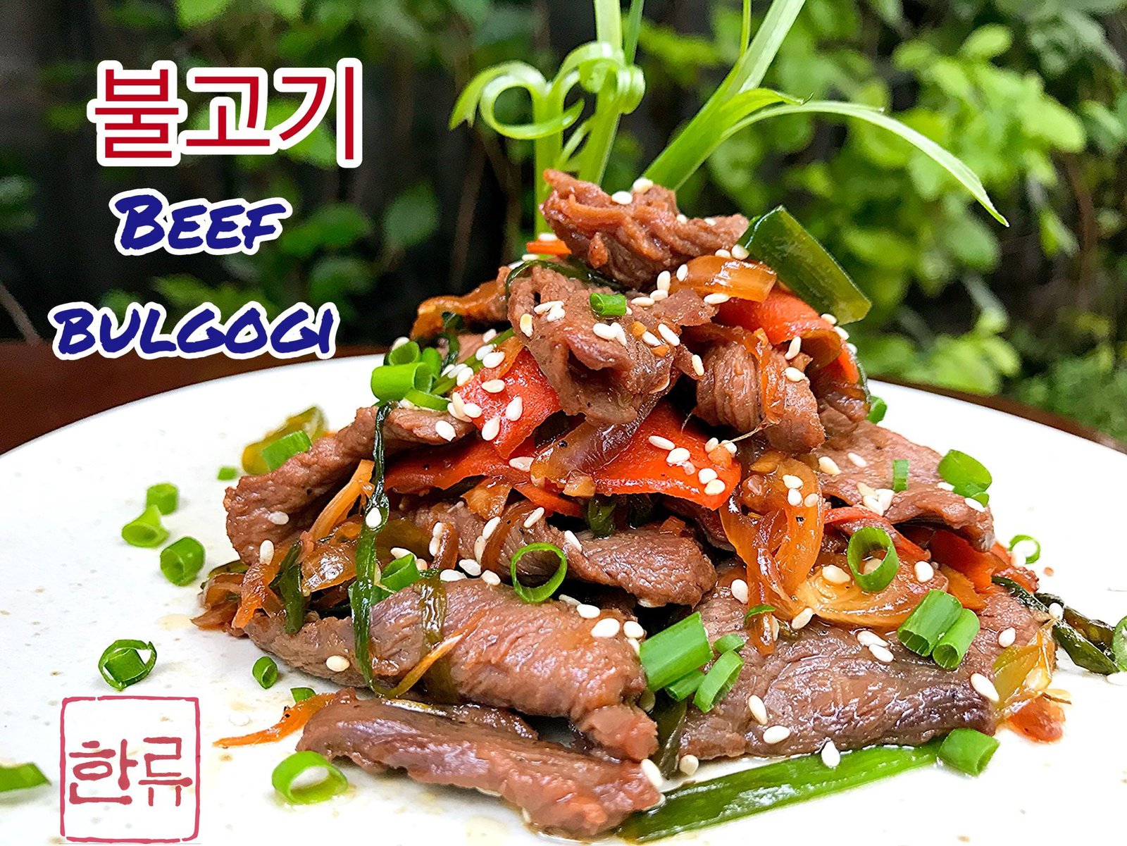 Hanryu-The Korean Wave