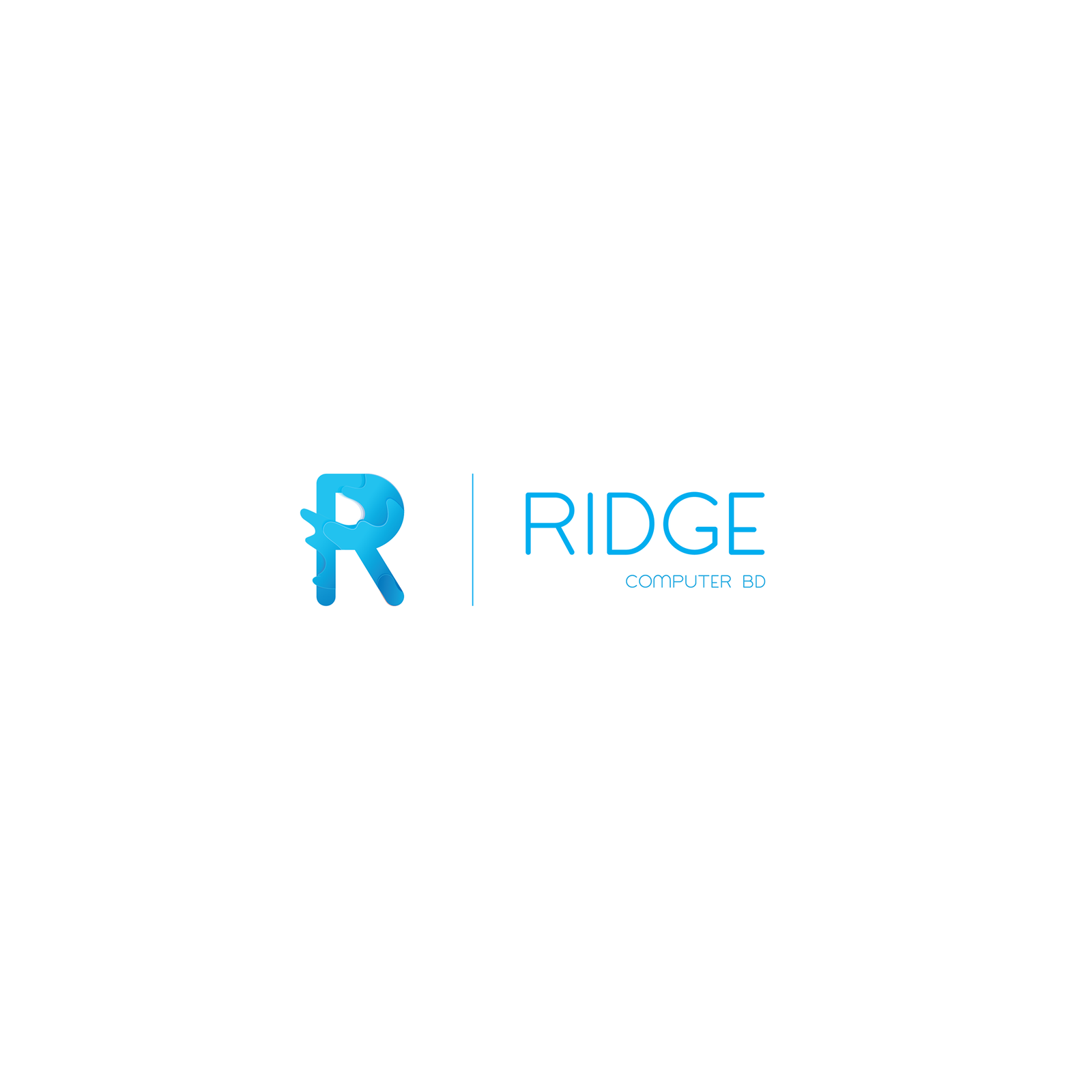 Ridge Computer BD.