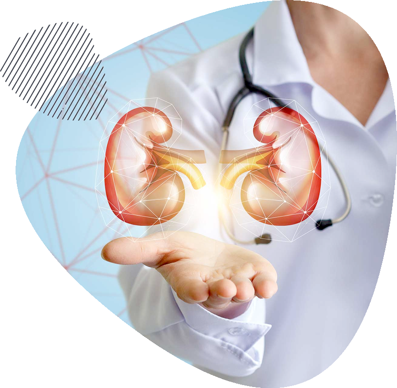 Dr. Mohammed A. Hashem