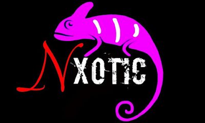 Nxotic Pet Store