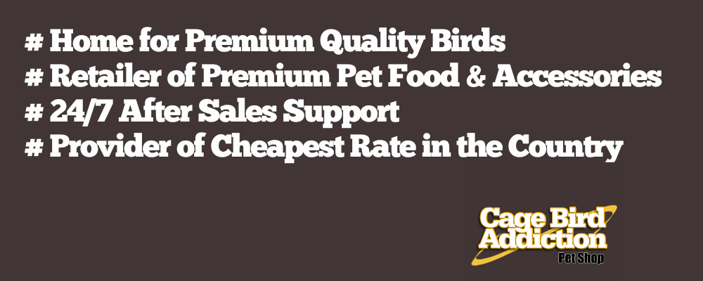 Cage Bird & Pet Shop