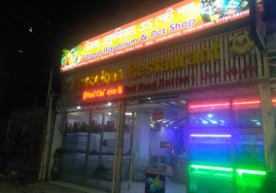 Uttara Aquarium & Pet Shop