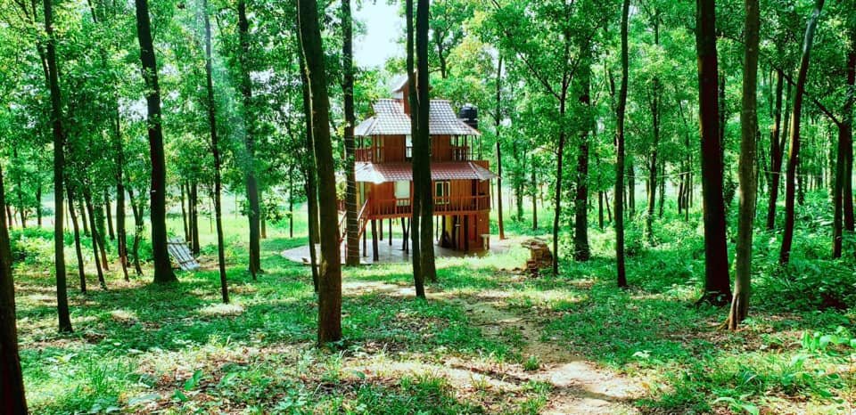 Shaldah Eco Resort-শালদহ ইকো রিসোর্ট