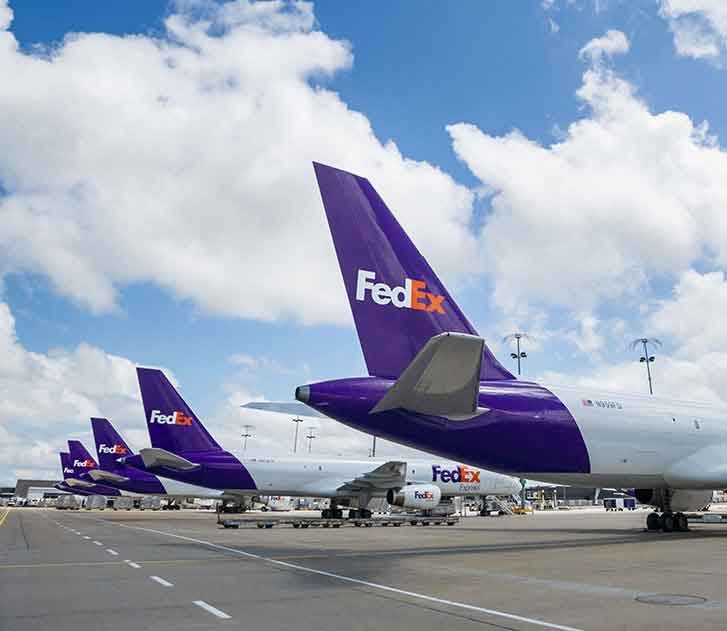 FedEx World Service Center – Elephant
