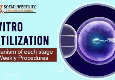 In-Vitro-Fertilization-Mechanism-of-each-stage-and-Weekly-Procedures
