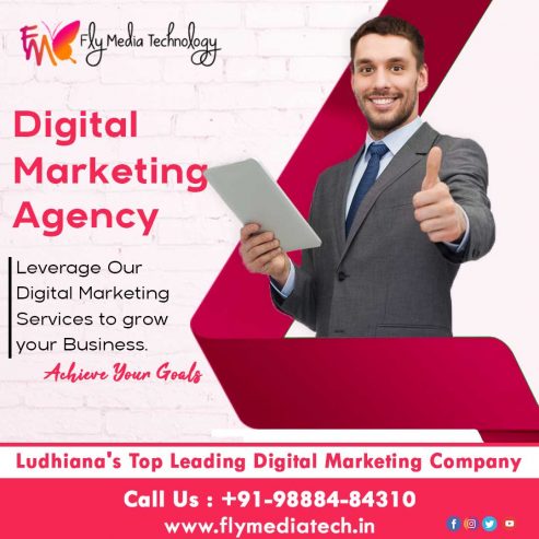 Social Media Marketing in Ludhiana