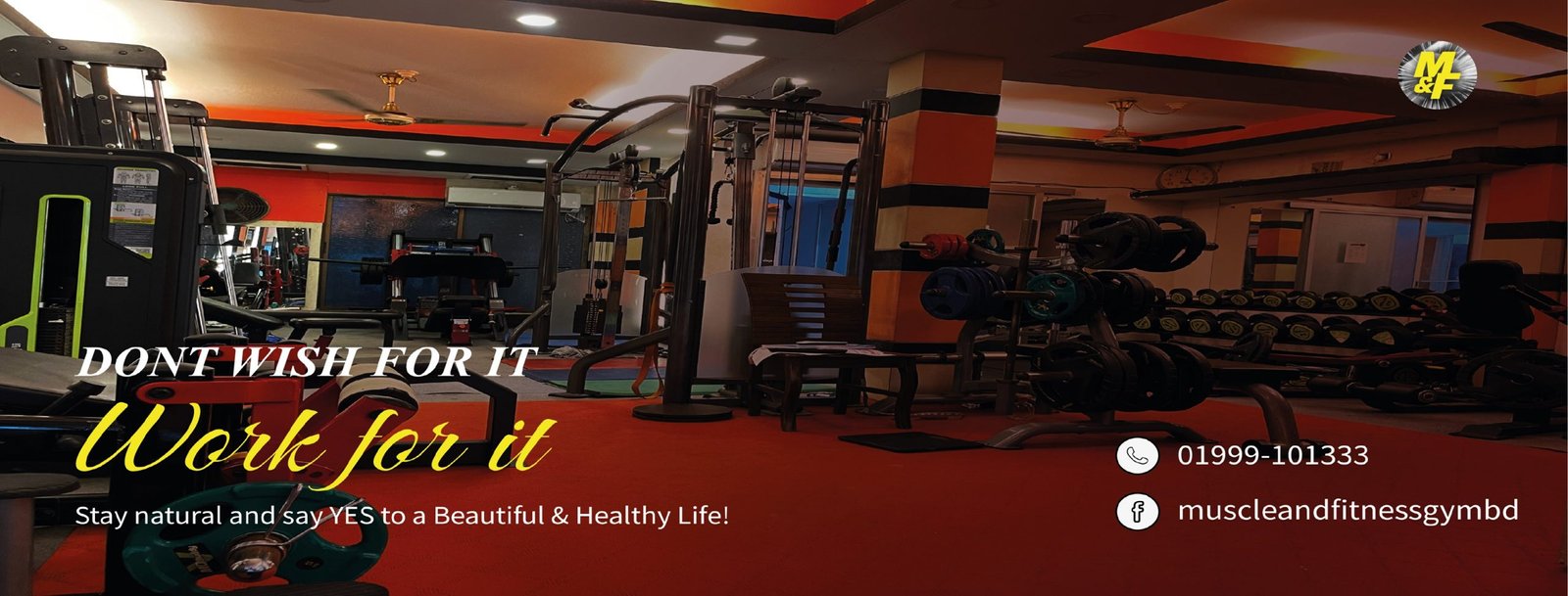 Muscle & Fitness Gym ( Mohammadpur)
