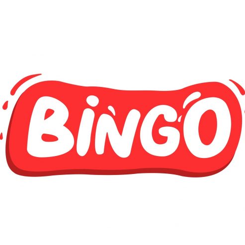 Bingo Toy Store